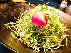 捞汁空心菜苗-凤凰湘语·湘粤鲜融(浦东旗舰店)