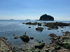-棒棰岛宾馆景区