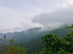 -阳台山自然风景区