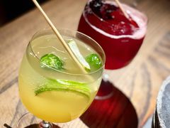 -毛辣果·酸(OHA复兴西路店)