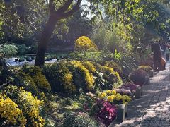-杭州植物园