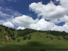 -关山草原