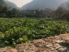 -鹿亭中村