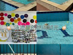 -趣玩宠物乐园寄养训犬训狗游泳池
