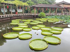 -广州莲花山旅游区