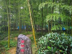 -紫金山天文台