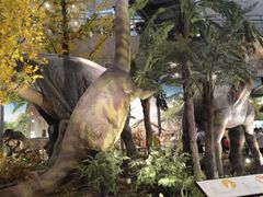 -湖南省地质博物馆