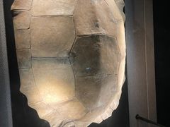 -金沙遗址博物馆