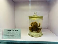 -大连自然博物馆
