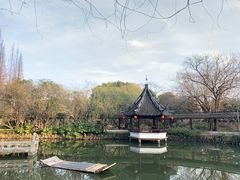 -上海醉白池公园