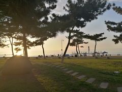 -一杯海(国际海水浴场店)
