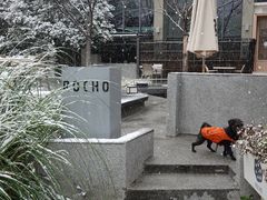 -ROCHO(仁恒江湾城店)
