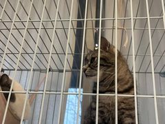 -猫的天空之城概念书店(北戴河蔚蓝海岸店)