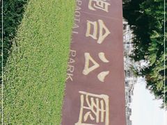 -石炮台公园