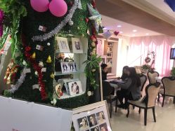 -巴黎时尚婚纱摄影(南汇店)