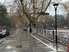 -定胜糕小店-蒋顺发