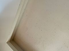 -龙川湾千岛湖国际垂钓中心