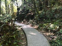 -怀托摩萤火虫洞