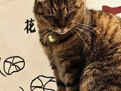 -猫的天空之城概念书店(杭州南宋御街店)