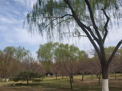 -莲花池公园