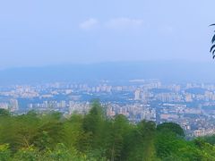 -缙云山景区