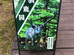 -莫尔道嘎国家森林公园