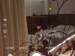 -泰菩提树下·泰式按摩SPA(沙坡尾店)