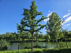 -马家湾湿地公园