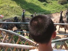 -无锡动物园·太湖欢乐园