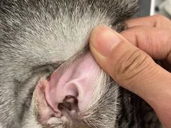 -comecome来吧宠物(奥克斯中心店)