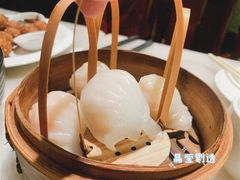 -金鼎轩(方庄天坛店)