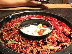 -渝大狮毛肚老火锅(普陀店)