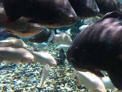 -成都浩海立方海洋公园