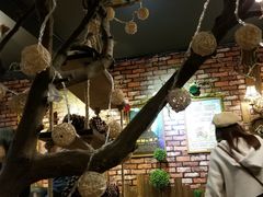-MAX伯爵趣味互动密室逃脱(大坪D馆店)