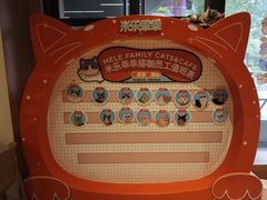 -米乐乖乖猫咪咖啡馆·猫咖(深圳湾后海汇店)