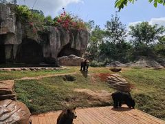 -海南热带野生动植物园
