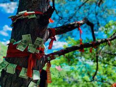 -五女峰国家森林公园