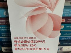 -武汉光谷K11