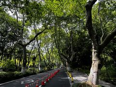 -杭州植物园