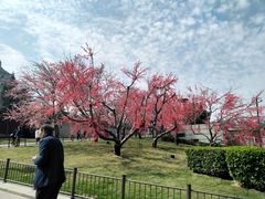 -大雁塔北广场音乐喷泉