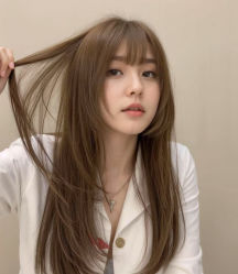 -YESIDO椰岛造型