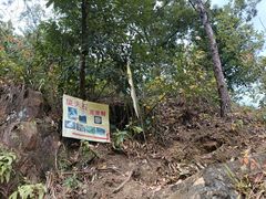 -羚羊峡古栈道森林公园