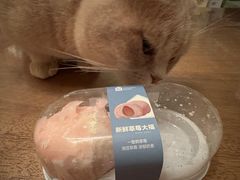 -盒马鲜生(莱蒙都会店)