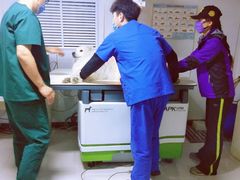 -天时宠物医院24小时疑难病例会诊中心(顾乡大街总院)