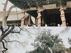 -晋祠公园