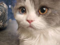 -圆融购物中心(南天成路店)