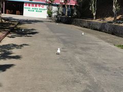 -桂山风景旅游区