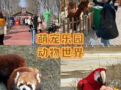 -水上乐园·欢乐世界