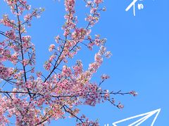 -杭州植物园