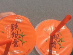 -CoCo都可(文星广场店)